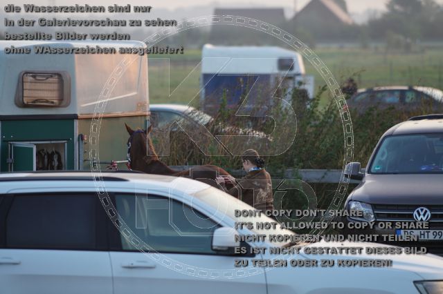s_K3F07648.JPG